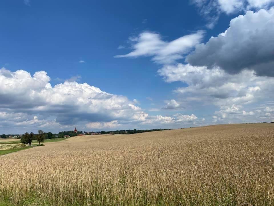 Hof Tuerke Appartement Moritzburg Buitenkant foto